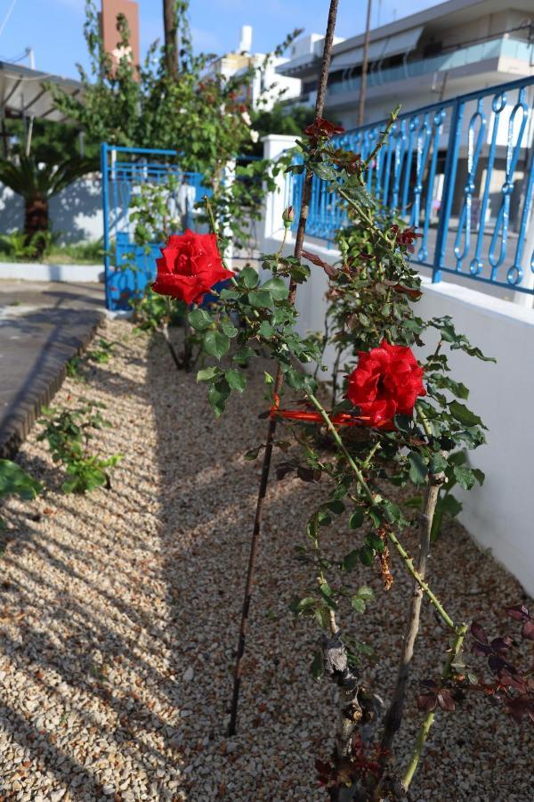 Traditional Town Garden Apartment Rhodes City Eksteriør billede
